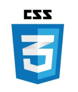 CSS logo